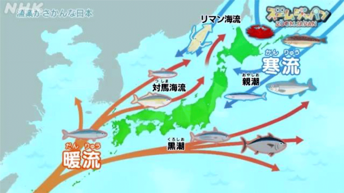 【2025年9月】日本人の起源、縄文人　その（IV） 縄文の海の幸